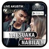 Tri Suaka ft Nabila Mp3 Offline on 9Apps