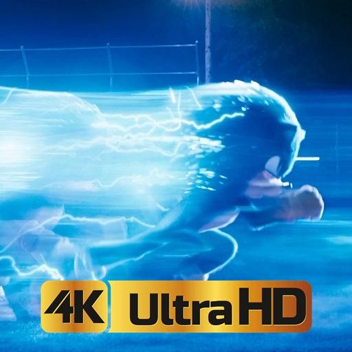 Best Hedgehog Wallpaper HD icon