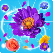 Blossom Crush icon