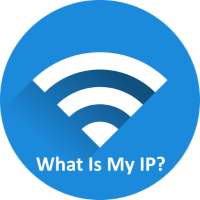 What's My IP?