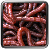 Can of Worms Live Wallpaper أيقونة