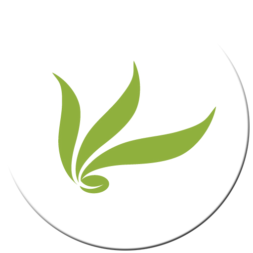 ikon CV Raman Academy