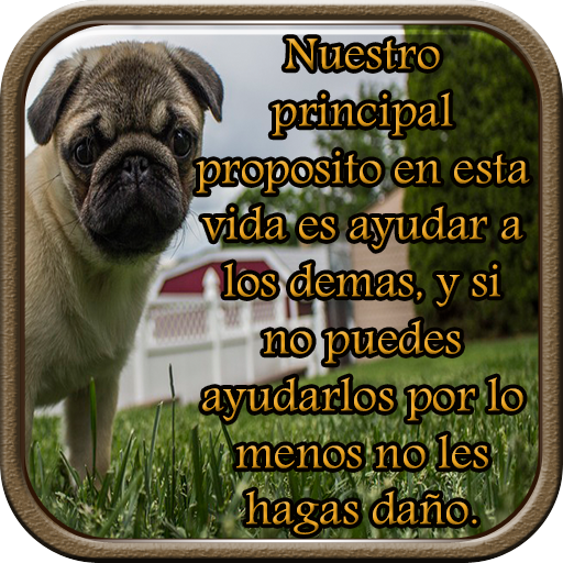 Reflexiones Sobre la Vida أيقونة