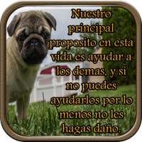 Reflexiones Sobre la Vida on 9Apps