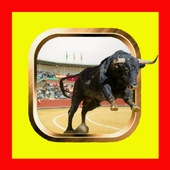 TRIMMERS FUNNY VIDEOS OF BULLS icon