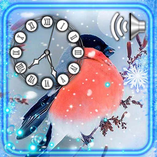 Winter Birds Clock icon