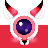 PIP Camera icon