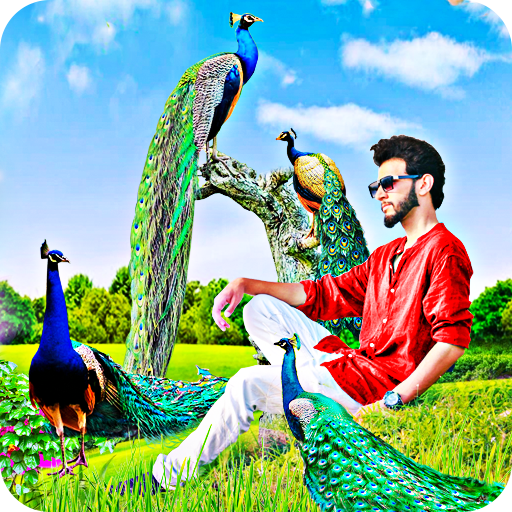 ikon Peacock Photo Editor - Photo Frames