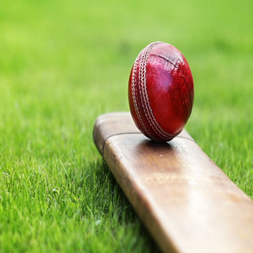 LetsBet - IPL 14 Cricket Betting Tips icon