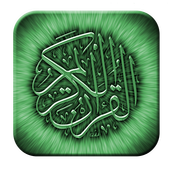 Quran Pro icon