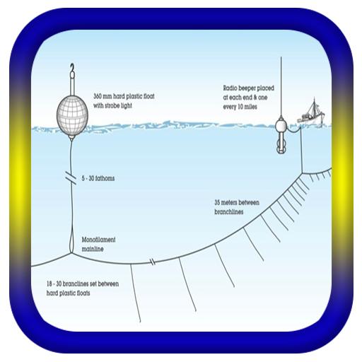 🎣Fishing Techniques🎣 icon