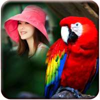 Birds Photo Frames on 9Apps