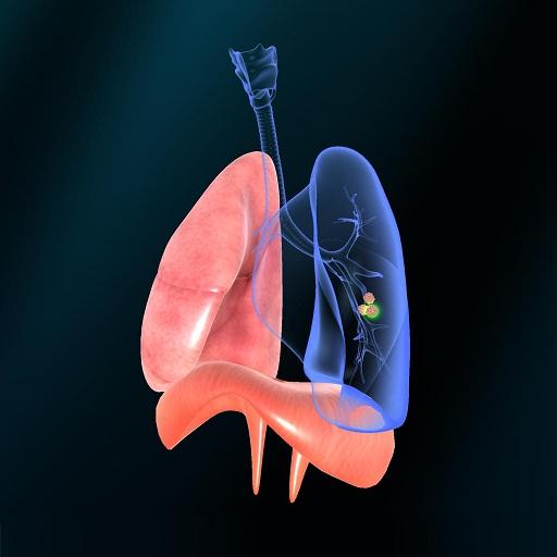 Respiratory system physiology icon