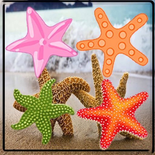 Starfish Match 3 Game icon