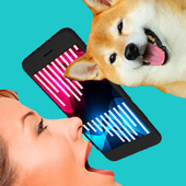 Dog Simulator Translator icon