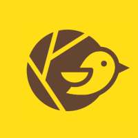 Baya - Small Business Website on 9Apps