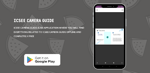 icsee Camera Guide screenshot 3