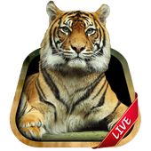 Tiger Live Wallpaper иконка