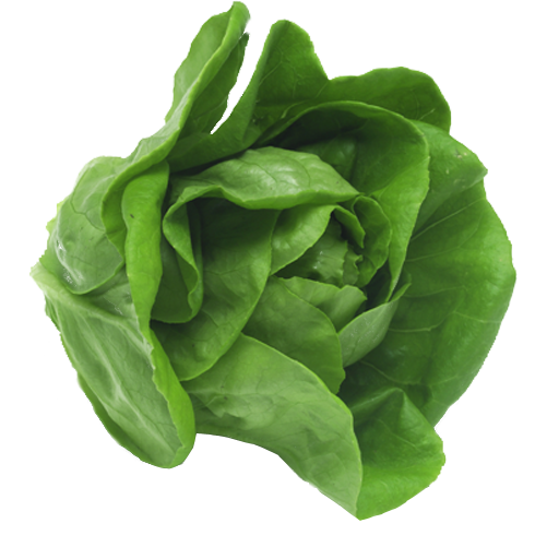 اكلات للرجيم icon