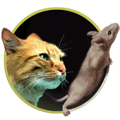Catch the mouse for cats game icon