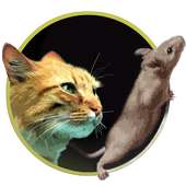 Catch the mouse for cats game