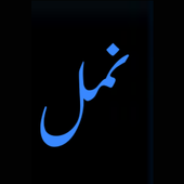 Namal By Nimra Ahamad 1 to 10 icon