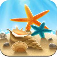 Seashell wallpaper HD on 9Apps