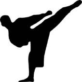 Kyokushin Budo Kai Guide on 9Apps