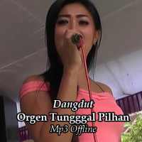 Dangdut Orgen Tunggal Pilihan Offline on 9Apps
