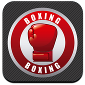Boxing Fight Game icon