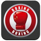 Boxing Fight Game
