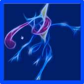 Ash Greninja Wallpaper