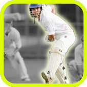 Power Stick Cricket icon