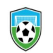 Daily Football Predictions icon
