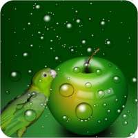 Green Wallpapers HD on 9Apps