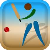 Cricket Scorecard Matches 2016
