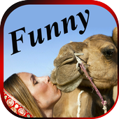 FUNNY VIDEOS : Latest Indian Comedy Clips App icon