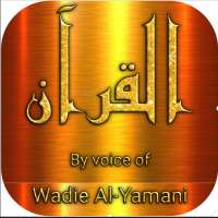 Wadi Al Yamani full Quran mp3 & read offline on 9Apps