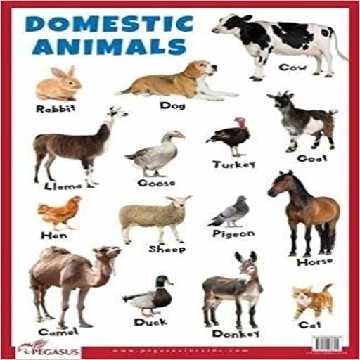 Domestic Animals Sound icon