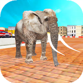 Animal Racing : Elephant icon