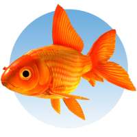 Animalia Educalabs on 9Apps