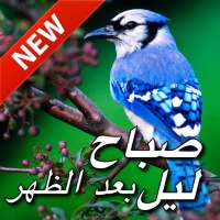 صباح الخير بعد الظهر & ليلة سعيدة التمنيات الحب on 9Apps