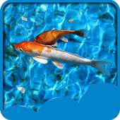 Koi Fish Live Wallpapers on 9Apps