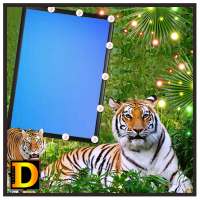 Tiger Photo DP on 9Apps