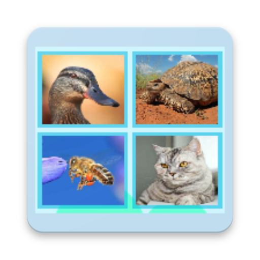 Guess the Animal Quiz icon