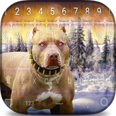 pitbull dog in snow keyboard icon