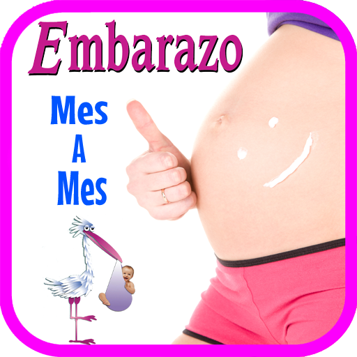 Embarazo Mes a Mes icon
