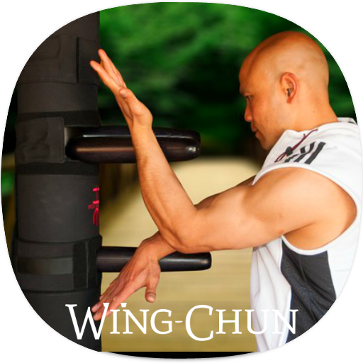 Wing Chun Guide icon