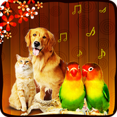 Animal   Bird Sound Effects icon