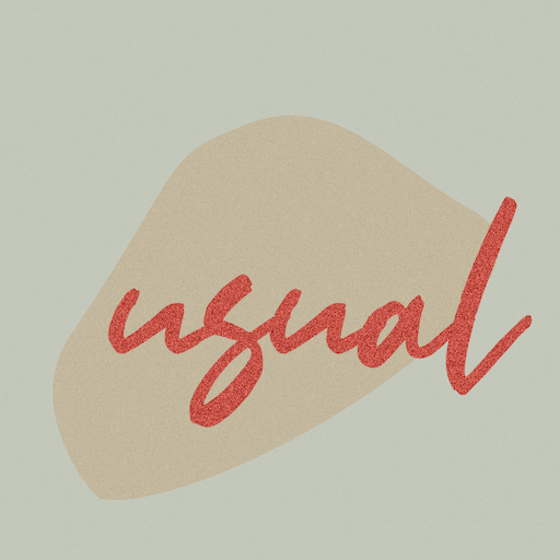 Usual Story icon